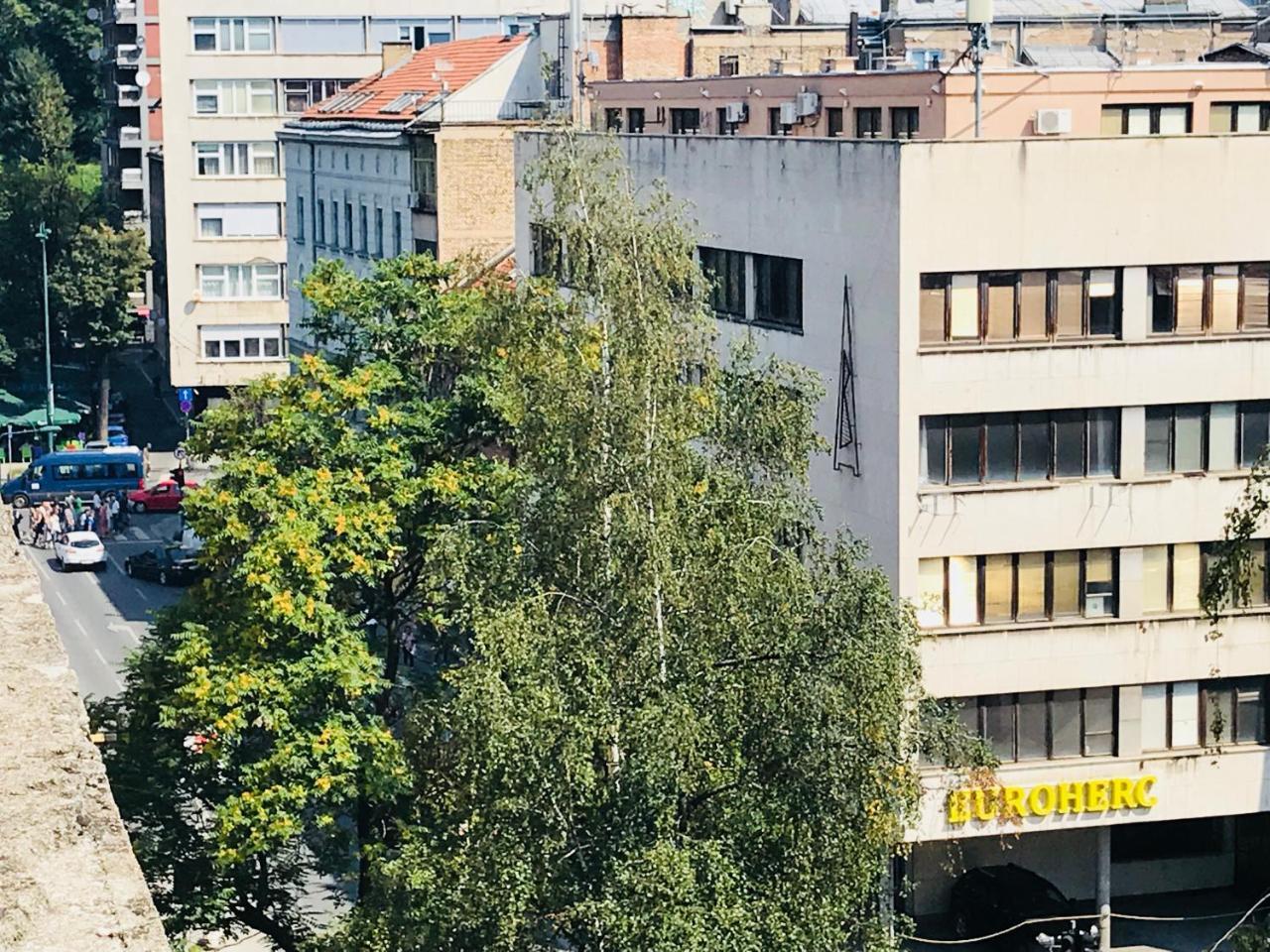 Colors Apartament